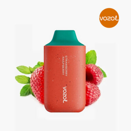 Vozol 6000 Strawberry Raspberry